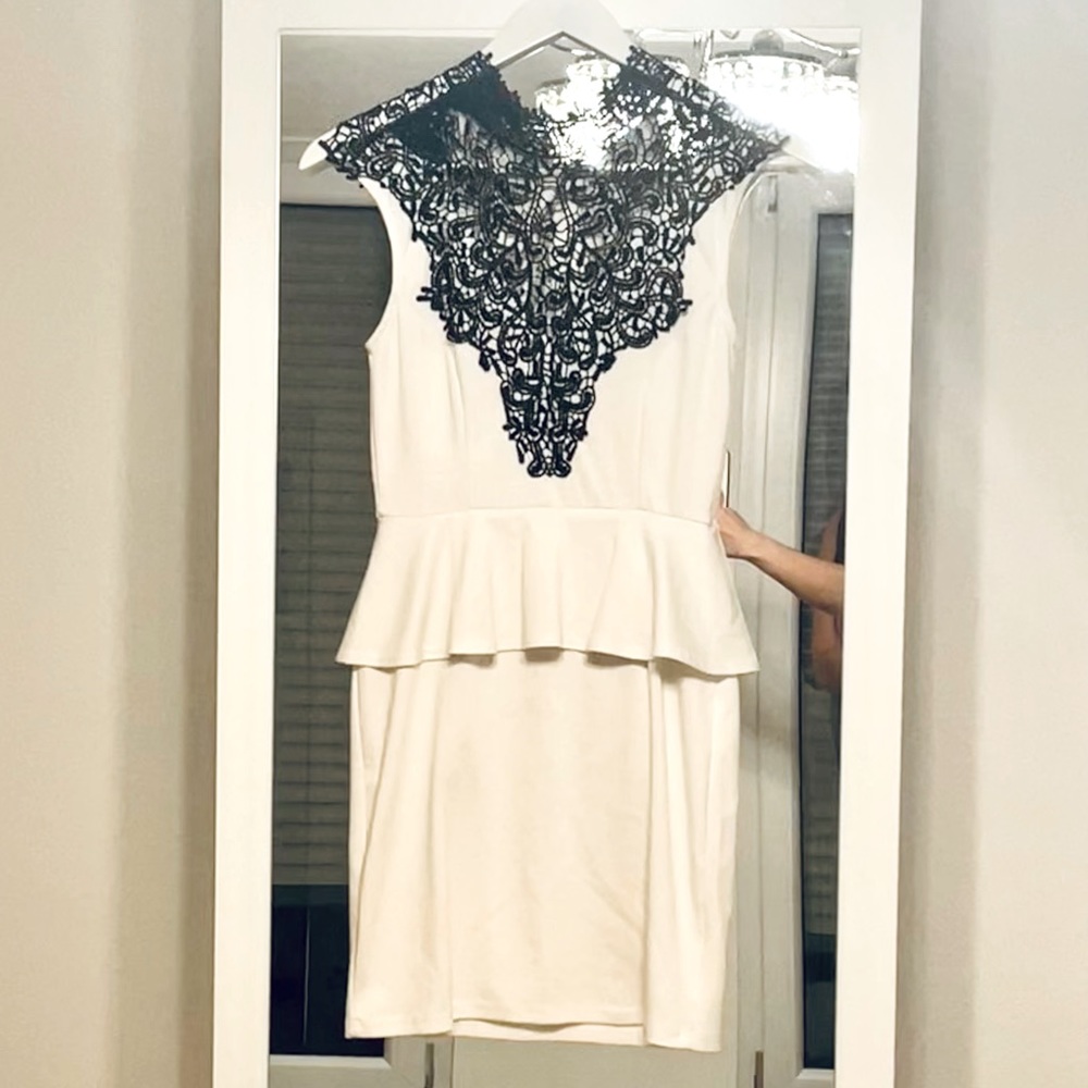 Lace Ruffles Pencil Dress (Black & White)